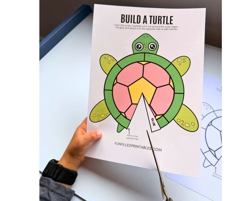 build a turtle